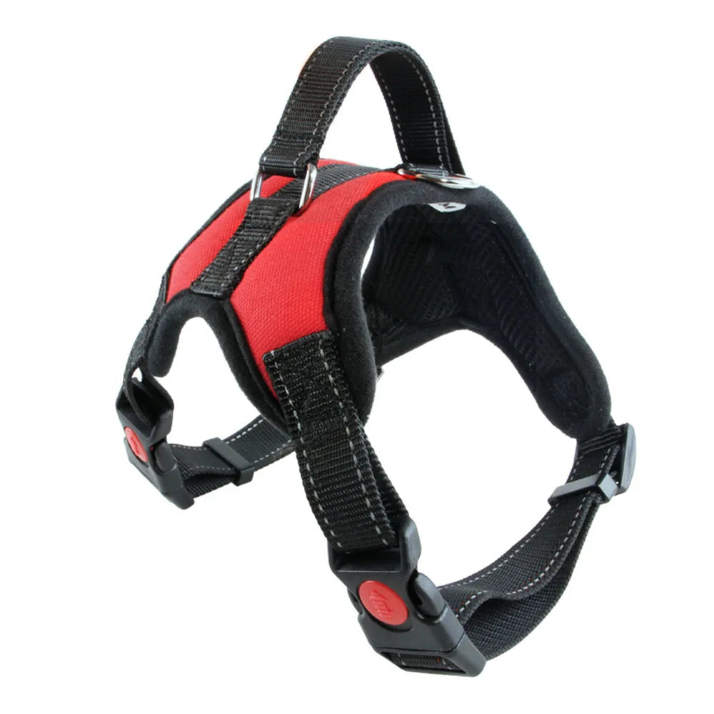 Harnais pour Chien – Tailles S/M/L – Confort & Sécurité
