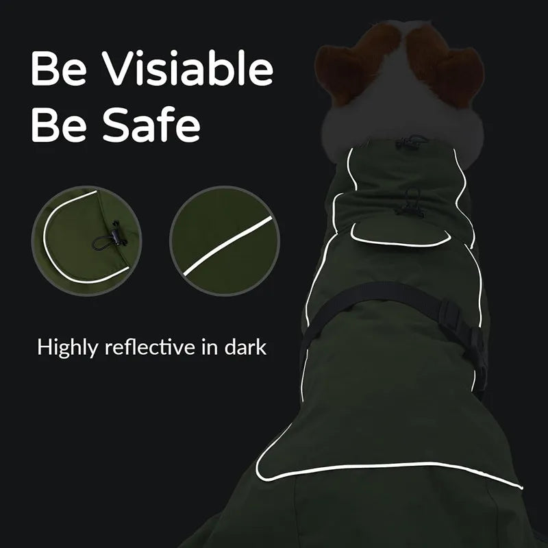 Veste Coupe-Vent Imperméable pour Chien – Toutes Tailles | ANIMORA