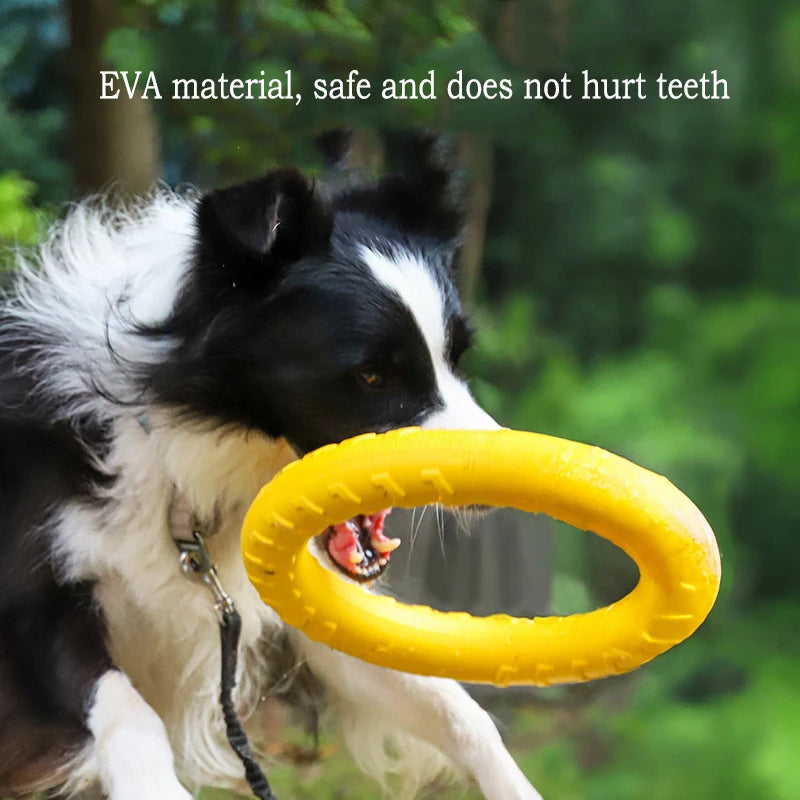 Jouets EVA Solides pour Chien – Pack 4 Pièces : Frisbee, Balle, Corde & Anneau