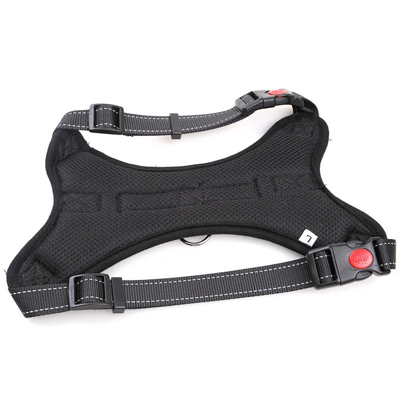 Harnais pour Chien – Tailles S/M/L – Confort & Sécurité