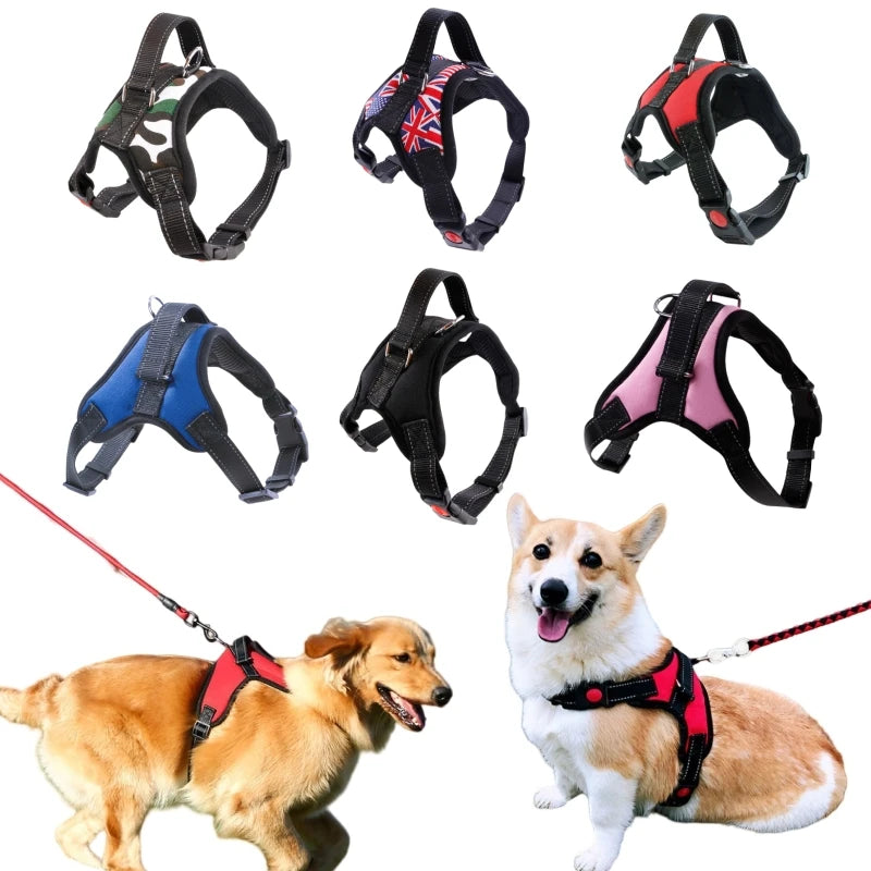Harnais pour Chien – Tailles S/M/L – Confort & Sécurité