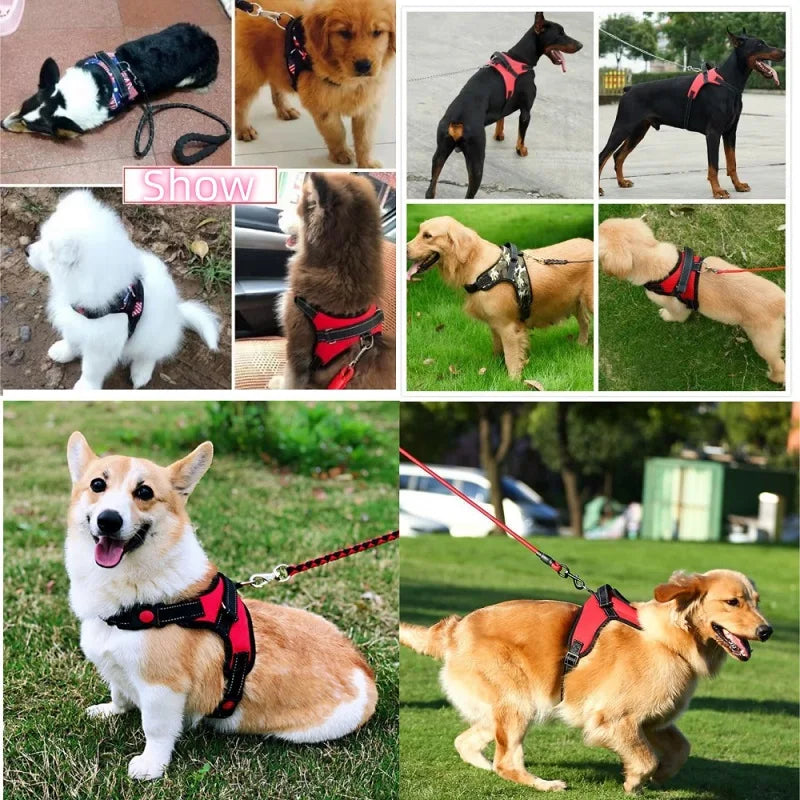 Harnais pour Chien – Tailles S/M/L – Confort & Sécurité