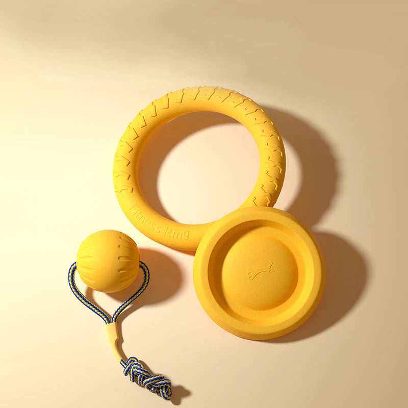 Jouet Interactif Distributeur de Friandises pour Chien & Chat