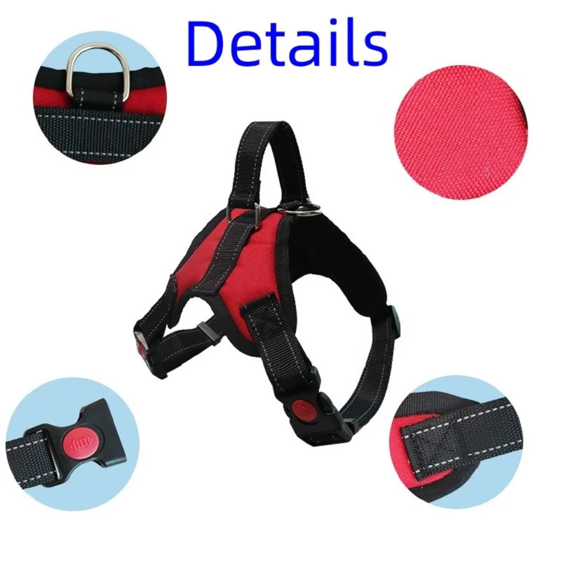 Harnais pour Chien – Tailles S/M/L – Confort & Sécurité