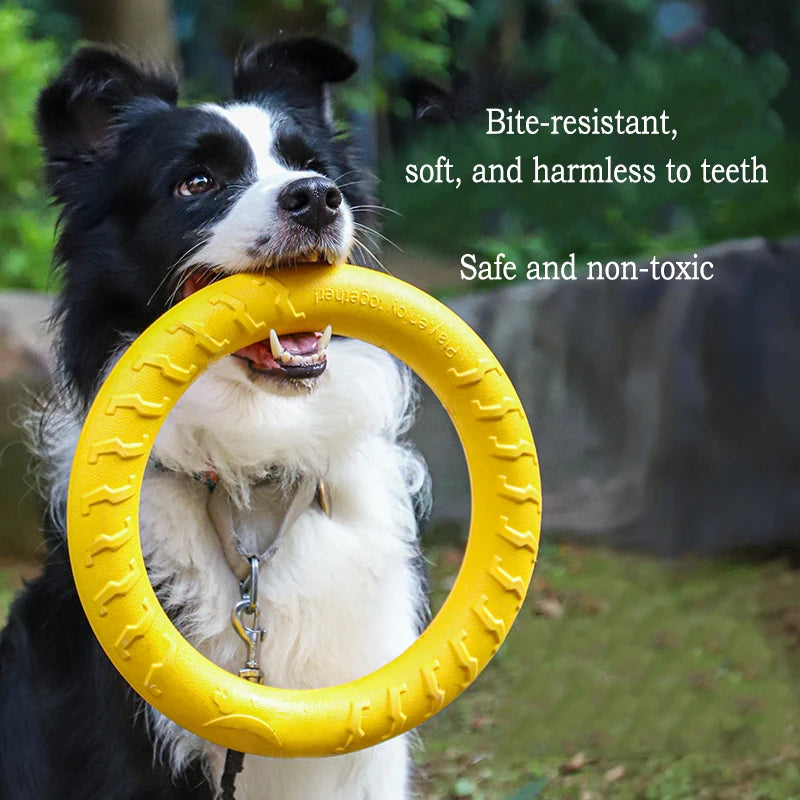 Jouets EVA Solides pour Chien – Pack 4 Pièces : Frisbee, Balle, Corde & Anneau