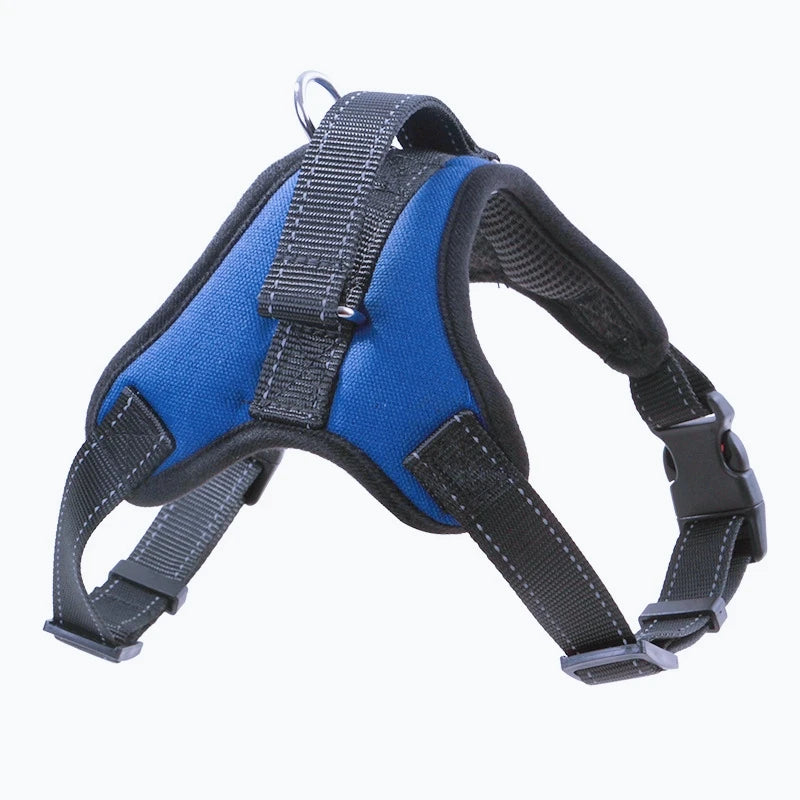 Harnais pour Chien – Tailles S/M/L – Confort & Sécurité
