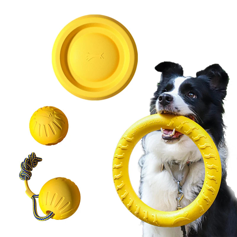 Jouets EVA Solides pour Chien – Pack 4 Pièces : Frisbee, Balle, Corde & Anneau