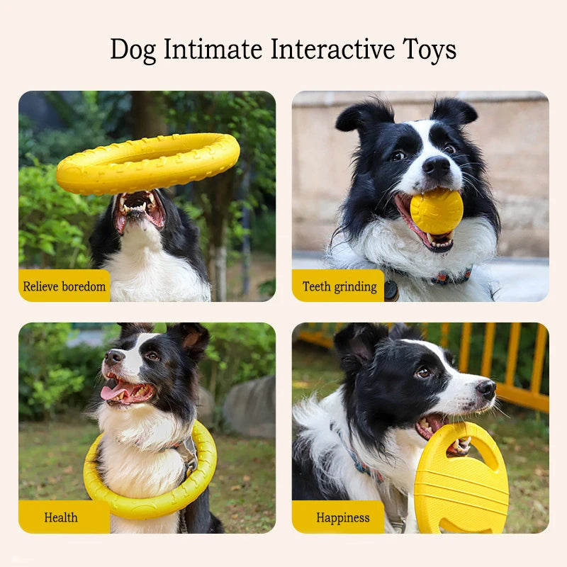 Jouets EVA Solides pour Chien – Pack 4 Pièces : Frisbee, Balle, Corde & Anneau