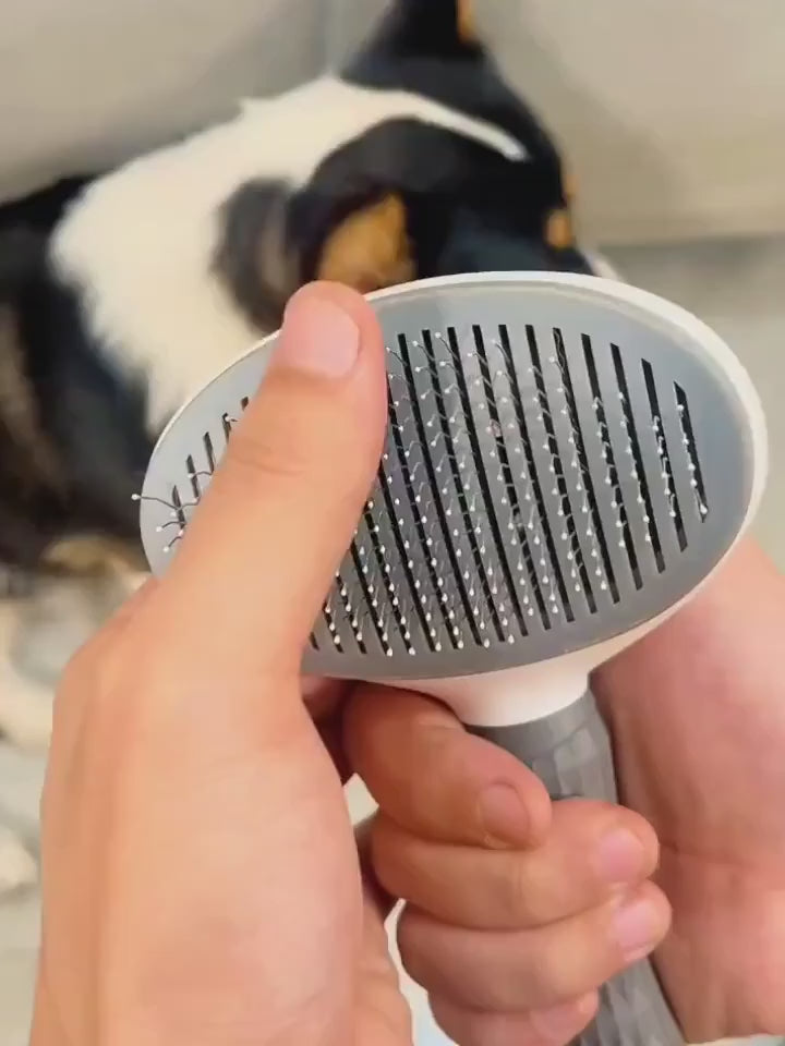 Brosse Anti-Poils Animora – Éliminez les poils en un seul passage